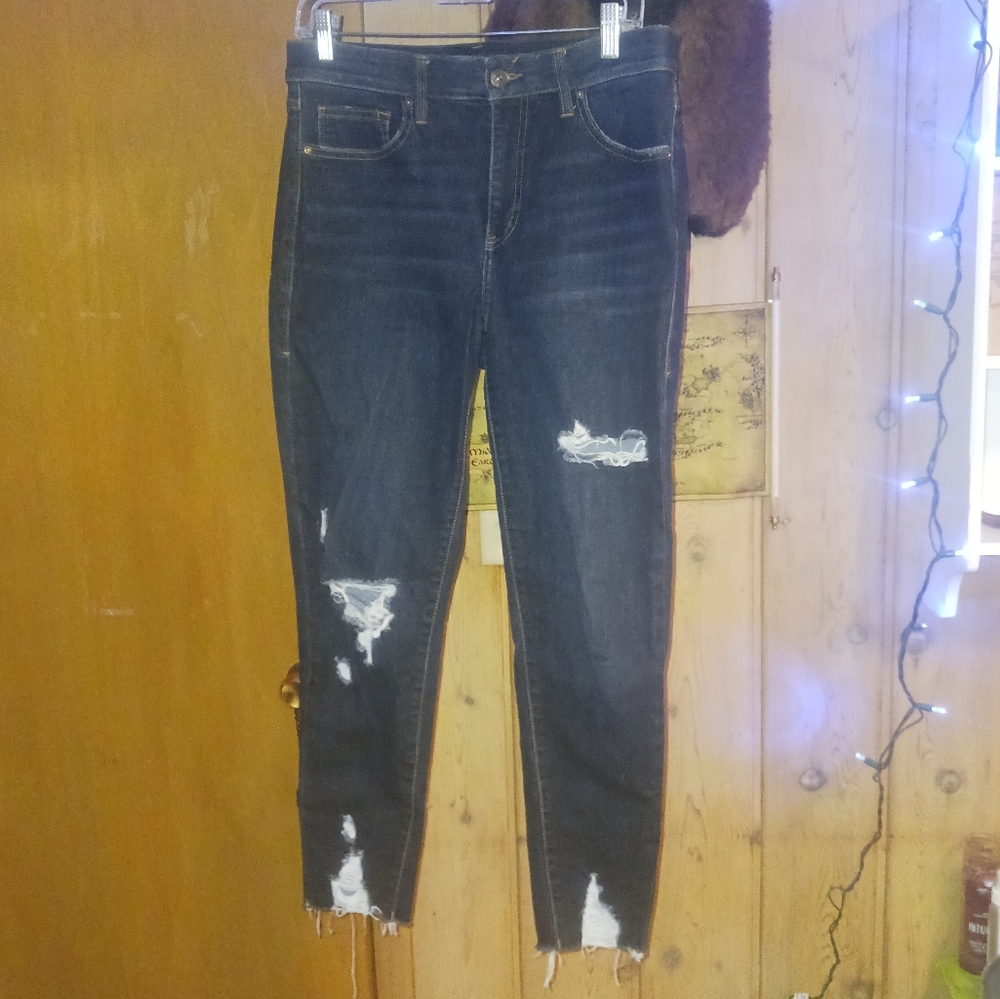 LuLaRoe Blue Skinny Distressed Jeans